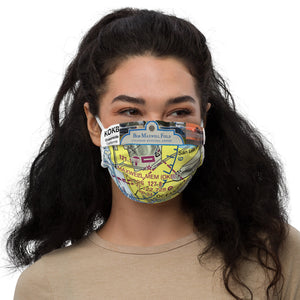 Oceanside Municipal Airport (KOKB) Regional Chart Premium face mask