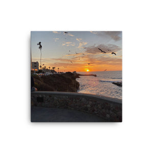 La Jolla, Cailifornia's World Famous Children's Beach