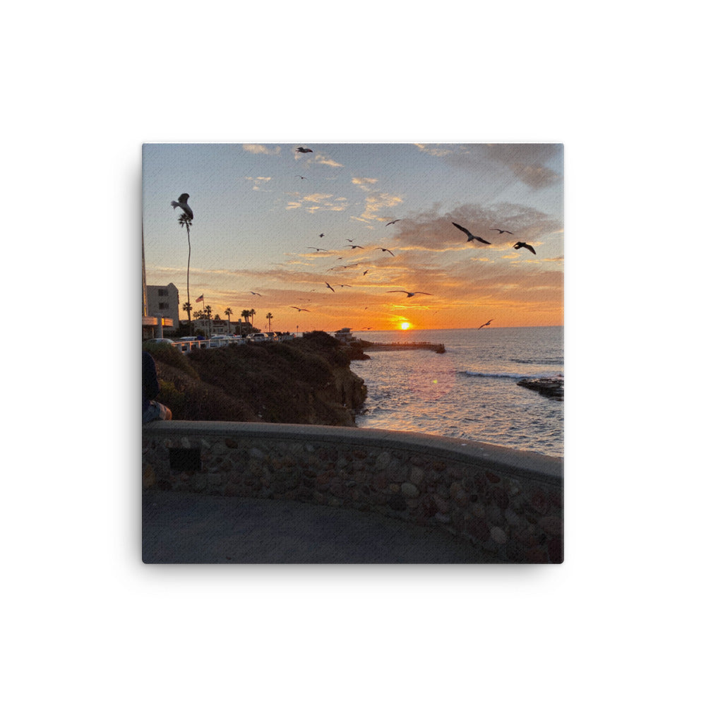 La Jolla, Cailifornia's World Famous Children's Beach