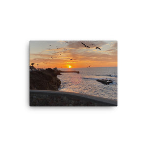 La Jolla, Cailifornia's World Famous Children's Beach