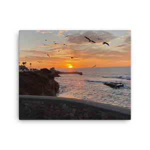 La Jolla, Cailifornia's World Famous Children's Beach