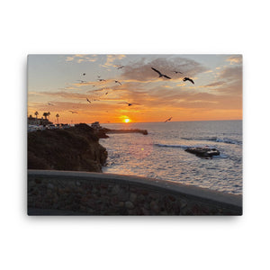 La Jolla, Cailifornia's World Famous Children's Beach