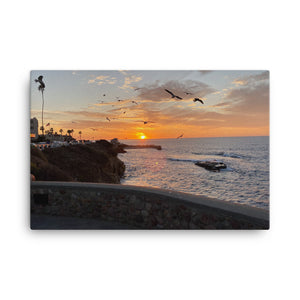 La Jolla, Cailifornia's World Famous Children's Beach