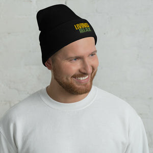 Cuffed Beanie (Multiple Colors)